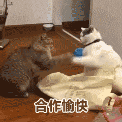 it運維 it服務_it外包公司_it外包服務